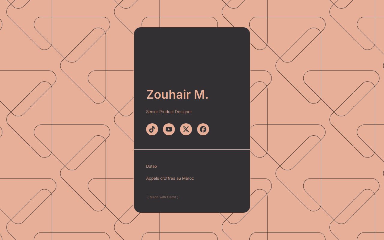 Carrd profile picture for @zouhair